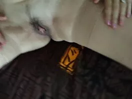 Moglie tettona succhia il mio grosso film hard gratis per adulti cazzo